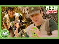 トリック・エッグのかいしゅう | ティラノサウルス牧場 | 恐竜番組 | 子供向け | T-Rex Ranch