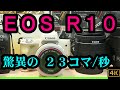 「EOS R10」驚異の２３コマ／秒