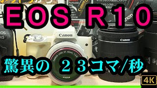 「EOS R10」驚異の２３コマ／秒