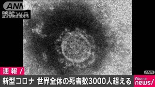 新型コロナ　世界全体の死者が3000人を超える(20/03/02)
