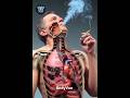 Your Lungs vs. Cigarette Smoks #anatomy #humanbody #3danimation #lungs