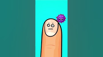 Funny Body Things! 🧠 What Are Boogers, Earwax & Eyelashes? #learn #kids
