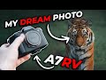 The king of wildlife photography  sony a7rv  focus settings