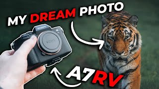 The KING Of Wildlife Photography  Sony A7RV + Focus Settings