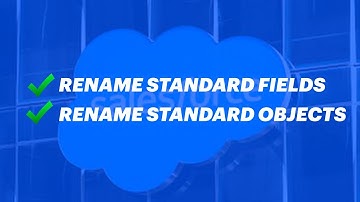 Rename Standard Fields & Standard Objects In Salesforce