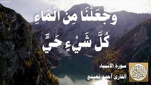021 أحمد نعينع - سورة الأنبياء