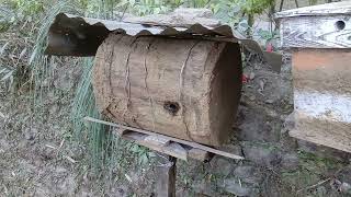 Scout Bees Checkin Log Hive