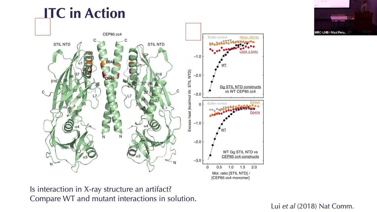 [TALK 4] How does it interact? – Stephen McLaughlin, Chris Batters, Tomas Morgan & Trevor Rutherford