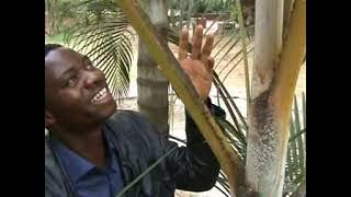 Ashers M -  Tuyoomubona