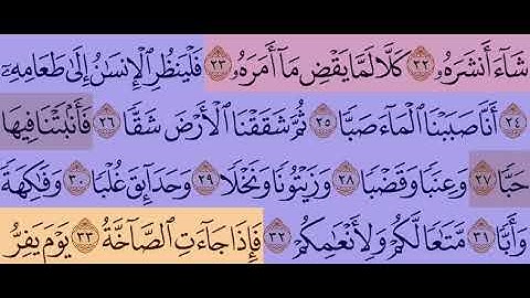 قطعة من سورة عبس بصوت القارئ علي الحذيفي