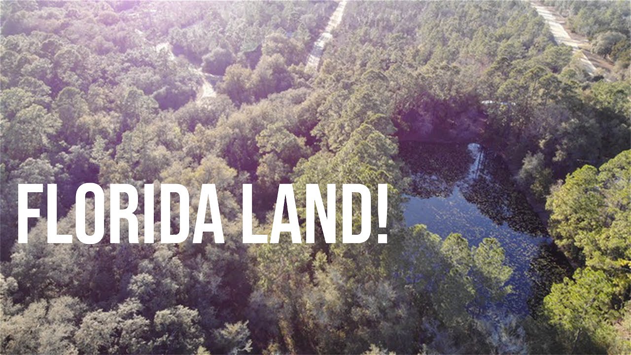 Florida Land for Sale No Bank Needed! YouTube