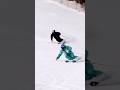 プロと素人の圧倒的な差 何もかもが違いすぎる #井山敬介 #スキー #ski #蔦谷好位置 #ズルtube