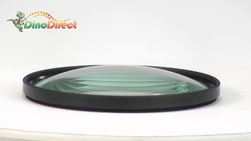 82mm Macro Close-Up +1 Lens Filter for Digital Camera  from Dinodirect.com