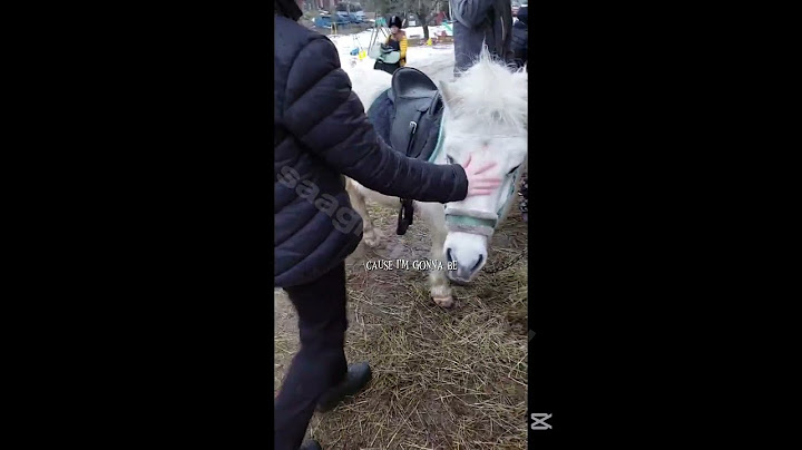 😈// Minkä rotnen sun lemppari/t on? 🙋‍♀️: mun vastaus com!