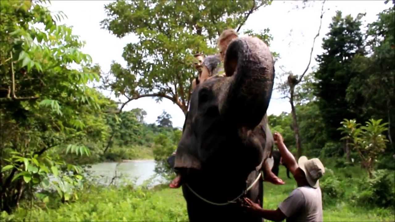 Borneo and Sumatra Travels 1080p - YouTube