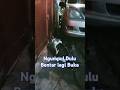Bangsa Kucing Ngumpul dulu bntar lagi kan mo buka puasa #shorts #kucing #kucinglucu #cat @KitaCek