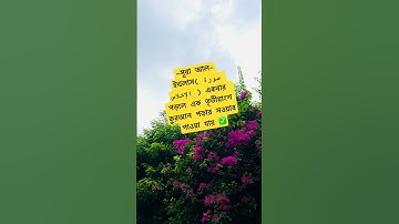 সূরা আল-ইখলাস( سورة الإخلاص ) একবার পড়লে এক তৃতীয়াংশ কুরআন পড়ার সওয়াব পাওয়া যায়✅#waz #azhari
