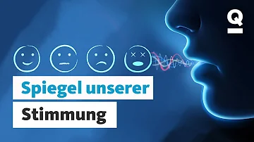 Was wirkt sich positiv auf die Stimme aus?