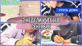 VLOG: 2 НЕДЕЛИ УЧЁБЫ В СЕНТЯБРЕ // МЕДИЦИНСКИЙ КОЛЛЕДЖ 3 КУРС