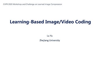 Learning-Based Image/Video Coding