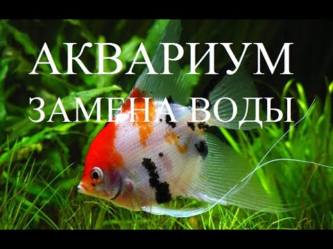 АКВАРИУМ! БЫСТРАЯ ЗАМЕНА ВОДЫ В АКВАРИУМЕ С РЫБКАМИ!