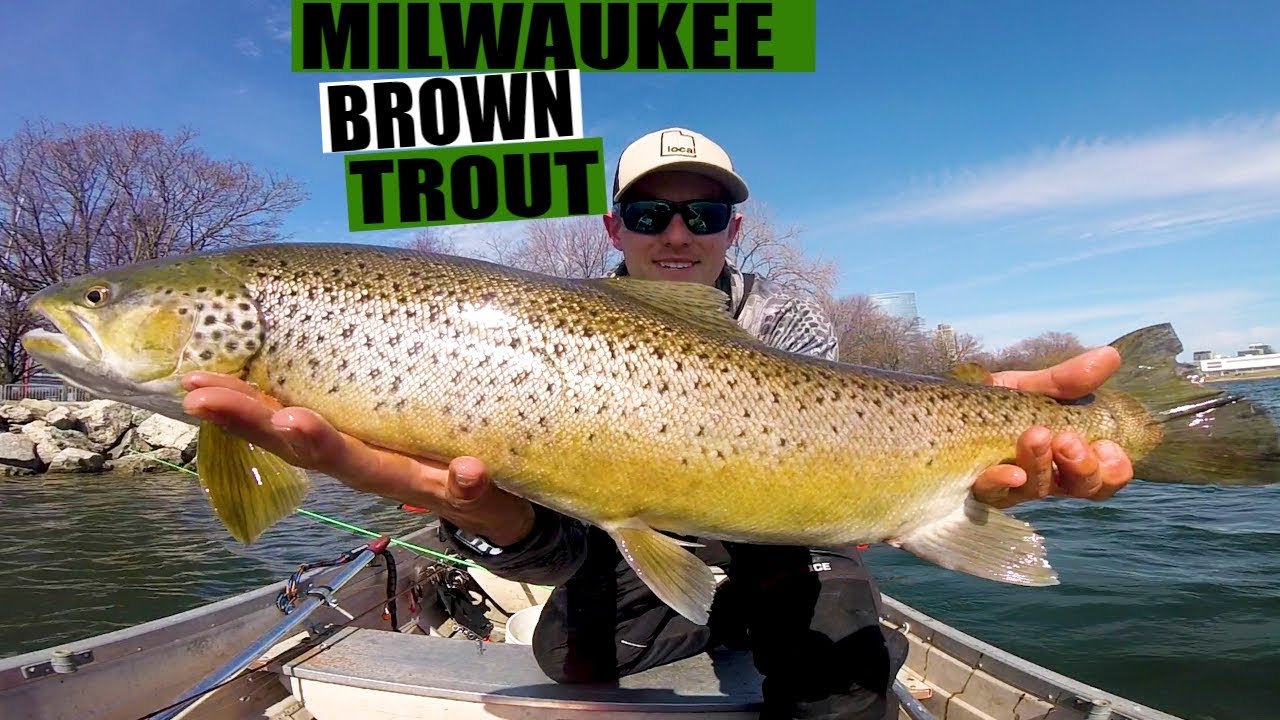 Lake Michigan Brown Trout Fishing 