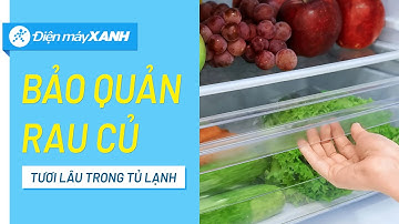 Bảo quản rau củ quả trong tủ lạnh cần lưu ý những điều này! • Điện máy XANH
