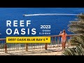 Reef Oasis Blue Bay, 2023 Шарм Эль Шейх! Bellissimo!