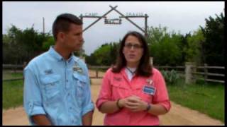 Camp Travis-Opening Day: Wait at Gate