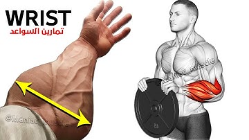 9 PERFECT EXERCISES FOREARM WORKOUT 🎯