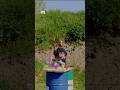 Diciassette rocchetti riusciranno a fermare un calibro 308?