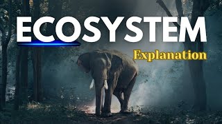 Ecosystem Explained | Types, Components & Examples