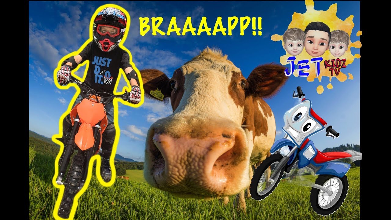 6 Year old Riding Dirt bike with Cows & Grandpa! / Motorcycles for kids ...