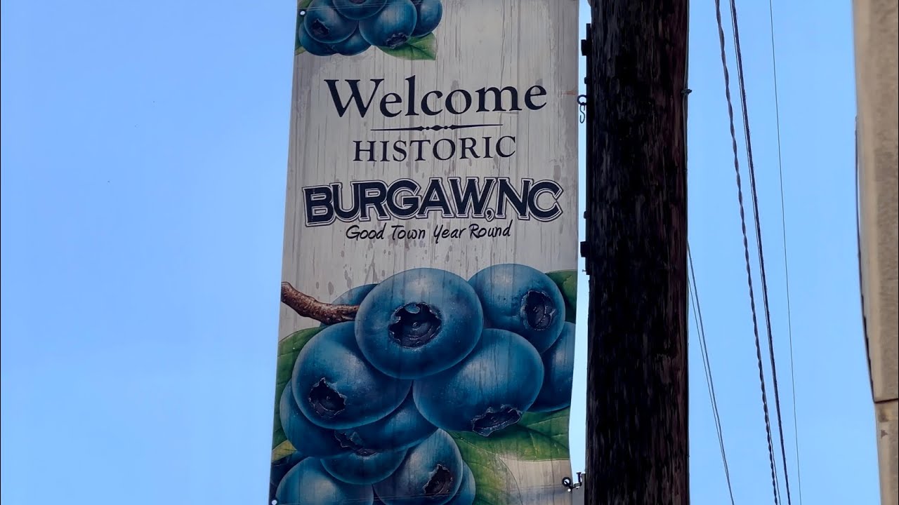 Burgaw, NC Blueberry Festival