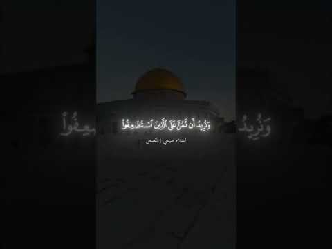 ونريد ان نمن على الذين استضعفوا في الارض اسلام صبحي