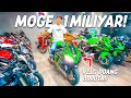 9 Moge Yang Cocok Untuk Ngabers Ke Sency 9 Moge Yang Cocok Untuk Ngabers Ke Sency