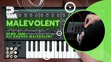 PWM Malevolent Semi Modular Synth Jam (No Talking & All Sounds Malevolent)