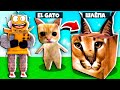 EL GATO ЛУЧШИЙ ДРУГ ШЛЁПЫ! ЭВОЛЮЦИЯ ЖИЗНИ ШЛЁПЫ В РОБЛОКС НУБ и ПРО ВИДЕО ROBLOX raise a floppa 2