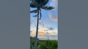 Sunrise TIMELAPSE paradise palm Beach #sunrise #timelapse #paradise #palm #beach #viral #cool #fyp
