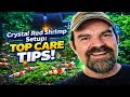 Crystal Red Shrimp Setup Mark S Best Tips Tricks For Baby Shrimp Success Crystal Red Shrimp Setup Mark S Best Tips Tricks For Baby Shrimp Success