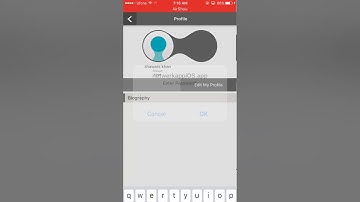 NetworkApp - Persistent XSS vulnerability in iOS App