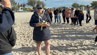 CORE MEMORY MOMENT | Mississippi Aquarium’s Kemps Ridley Sea Turtle Release | Biloxi, Mississippi by GulfCoastGal 131 views 1 year ago 10 minutes, 8 seconds