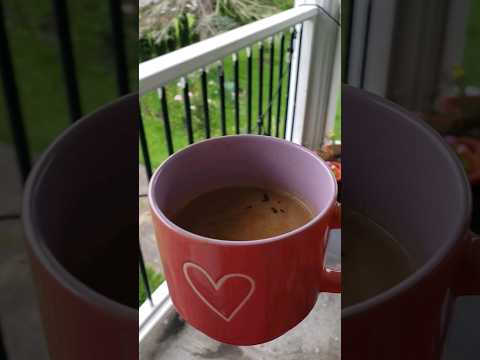 احلى جو هو جو مغيم ومطر خفيف   