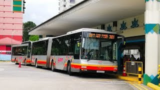 SMB8011B 301 - SMRT MAN A24 NG363F