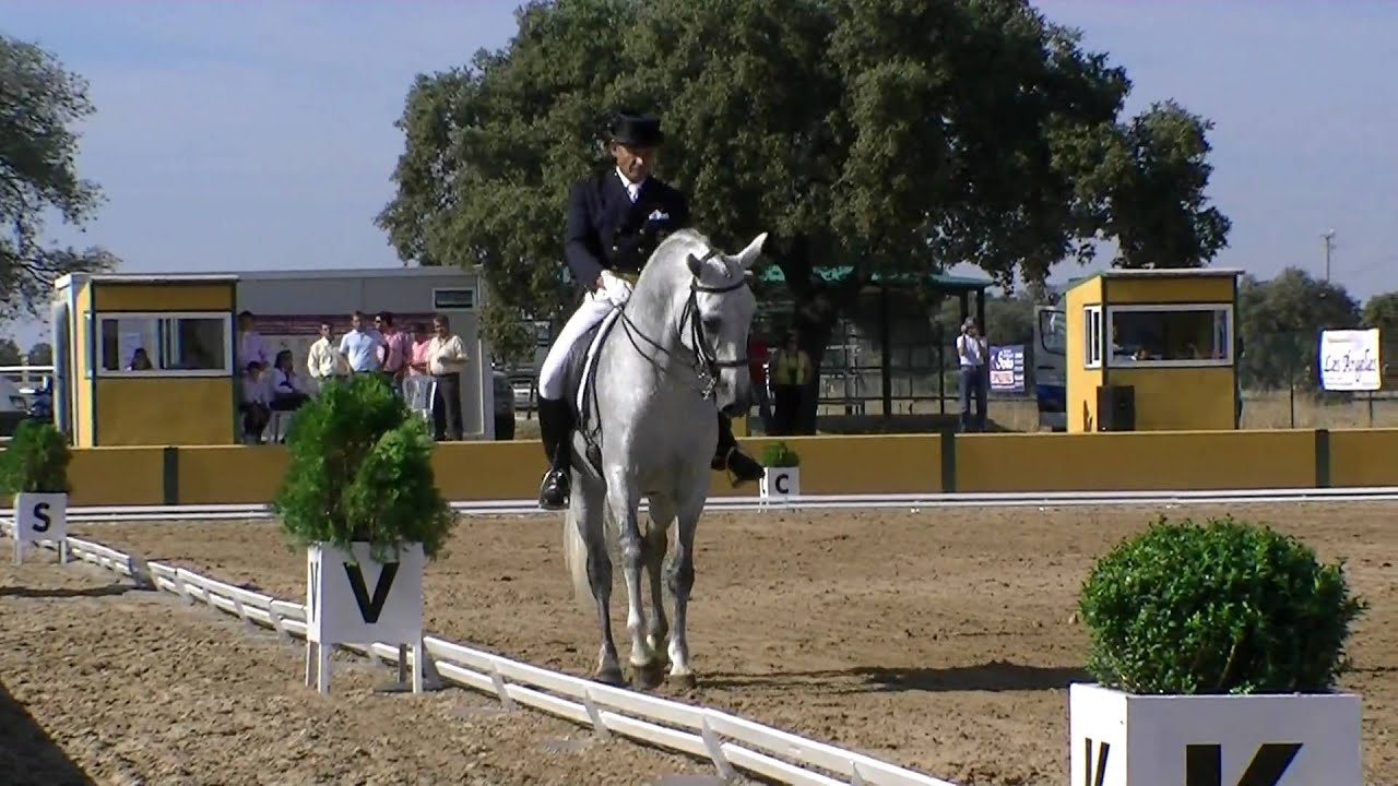 Rasines. Rafael Soto Andrade. San Jorge
