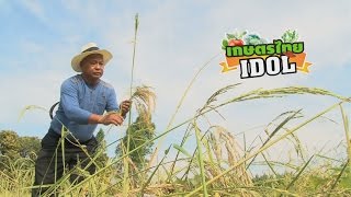 Thai Agriculture Idol l EP.82, Royal Grass, 2 Jan. 2017