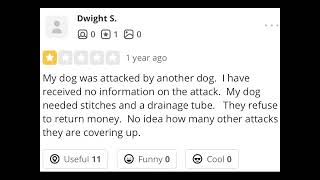 KillmorPets: A Wagmor Pets story