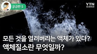 [궁금한S] 모든 것을 얼려버리는 액체가 있다?…액체질소란 무엇일까? / YTN 사이언스