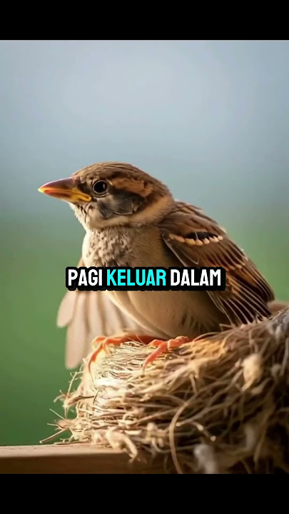 Mencari Rezeki yang BENAR