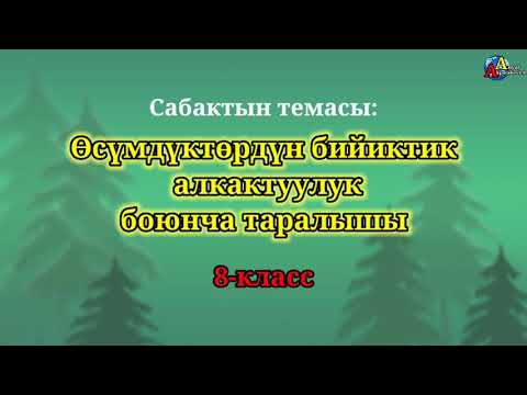 Video: Кандай өсүмдүктөр чиркейлерди жок кылууга жардам берет?